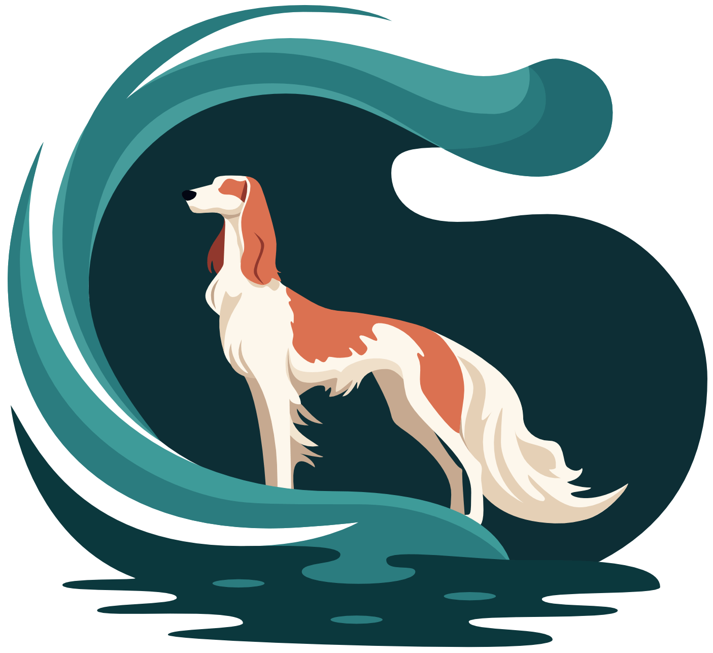 Afon Canine Training & Behaviour Logo